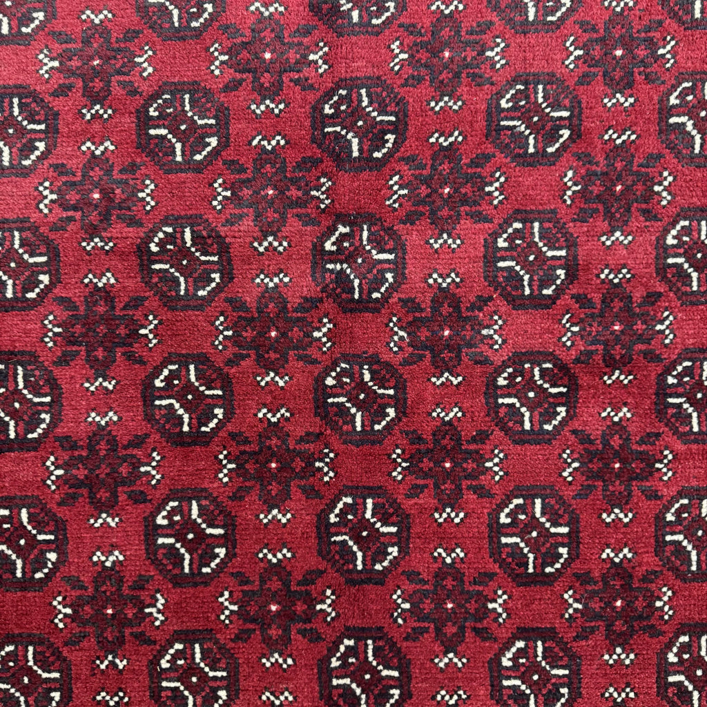 244 x 170 cm Hand-Knotted Afghan Akche Bokhara Rug