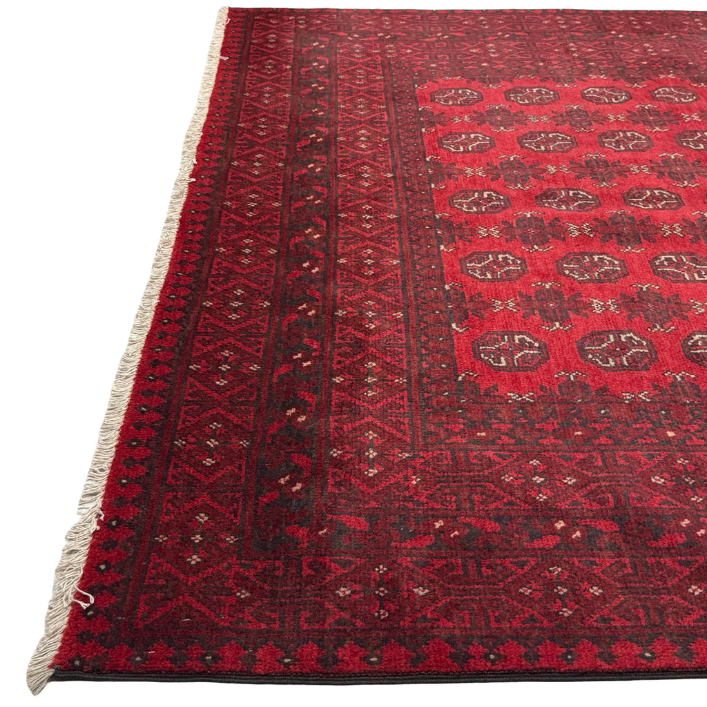 288 x 190 cm Hand-Knotted Afghan Akche Bokhara Rug