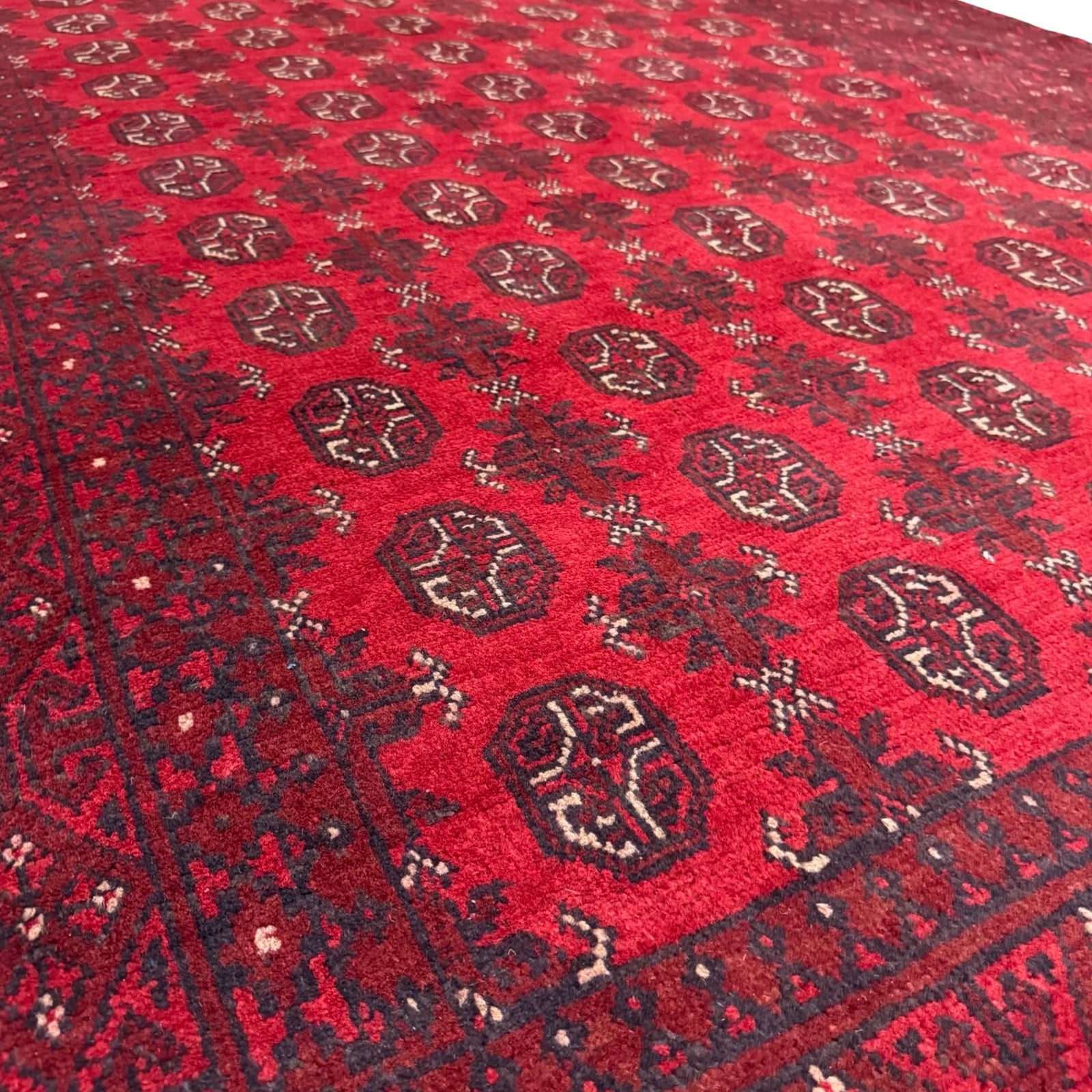 288 x 190 cm Hand-Knotted Afghan Akche Bokhara Rug