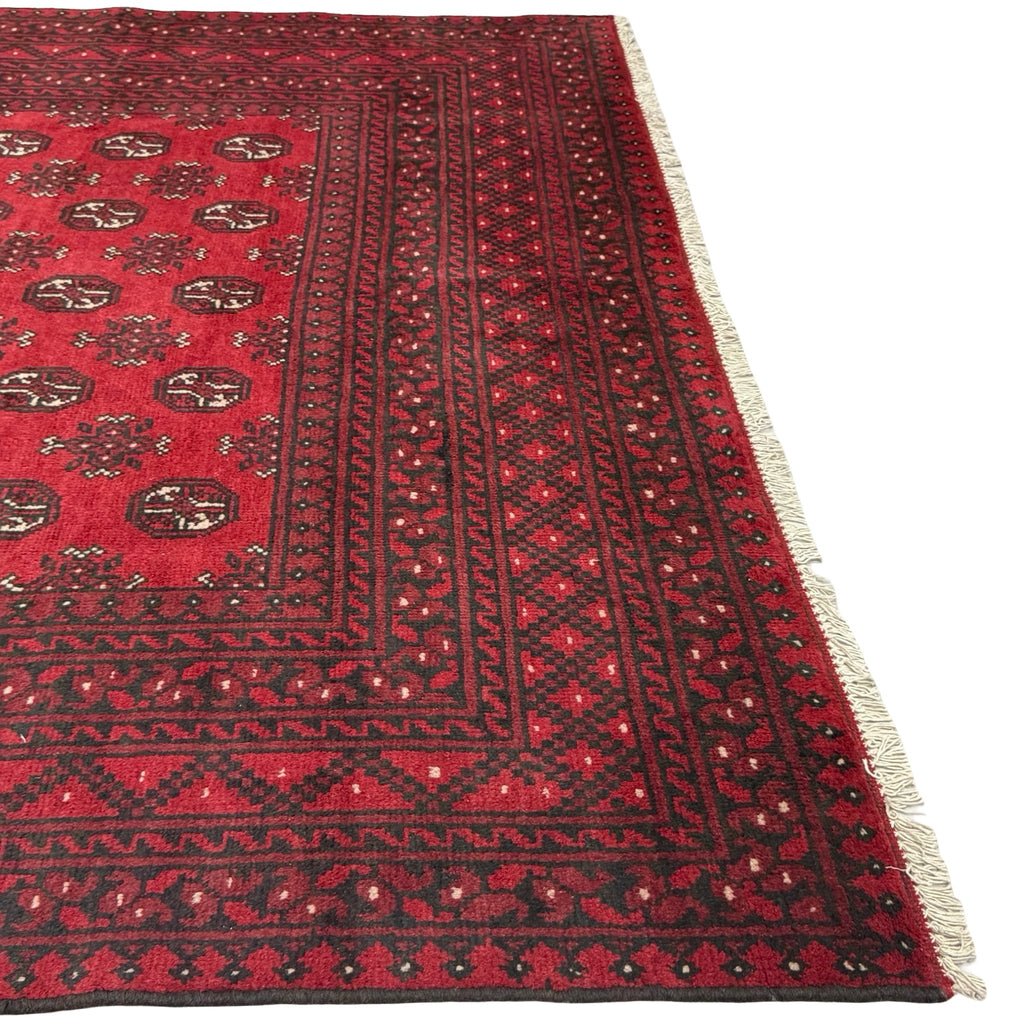 291 x 199 cm Hand-Knotted Afghan Akche Bokhara Rug