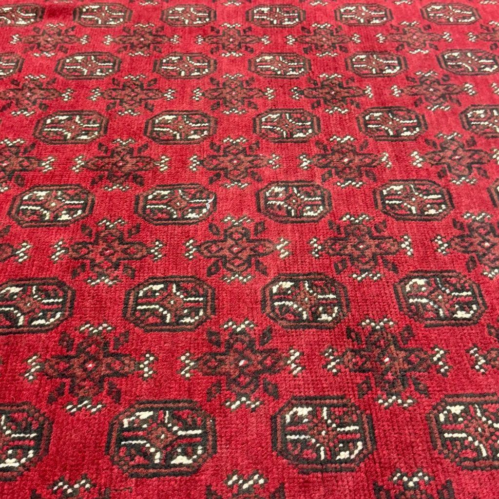 287 x 194 cm Hand-Knotted Red Afghan Wool Akche Rug