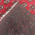 243 x 159 cm Hand-Knotted Afghan Akche Bokhara Rug