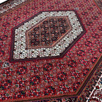 300 x 200 cm Persian Red Bidjar Rug – Traditional Medallion