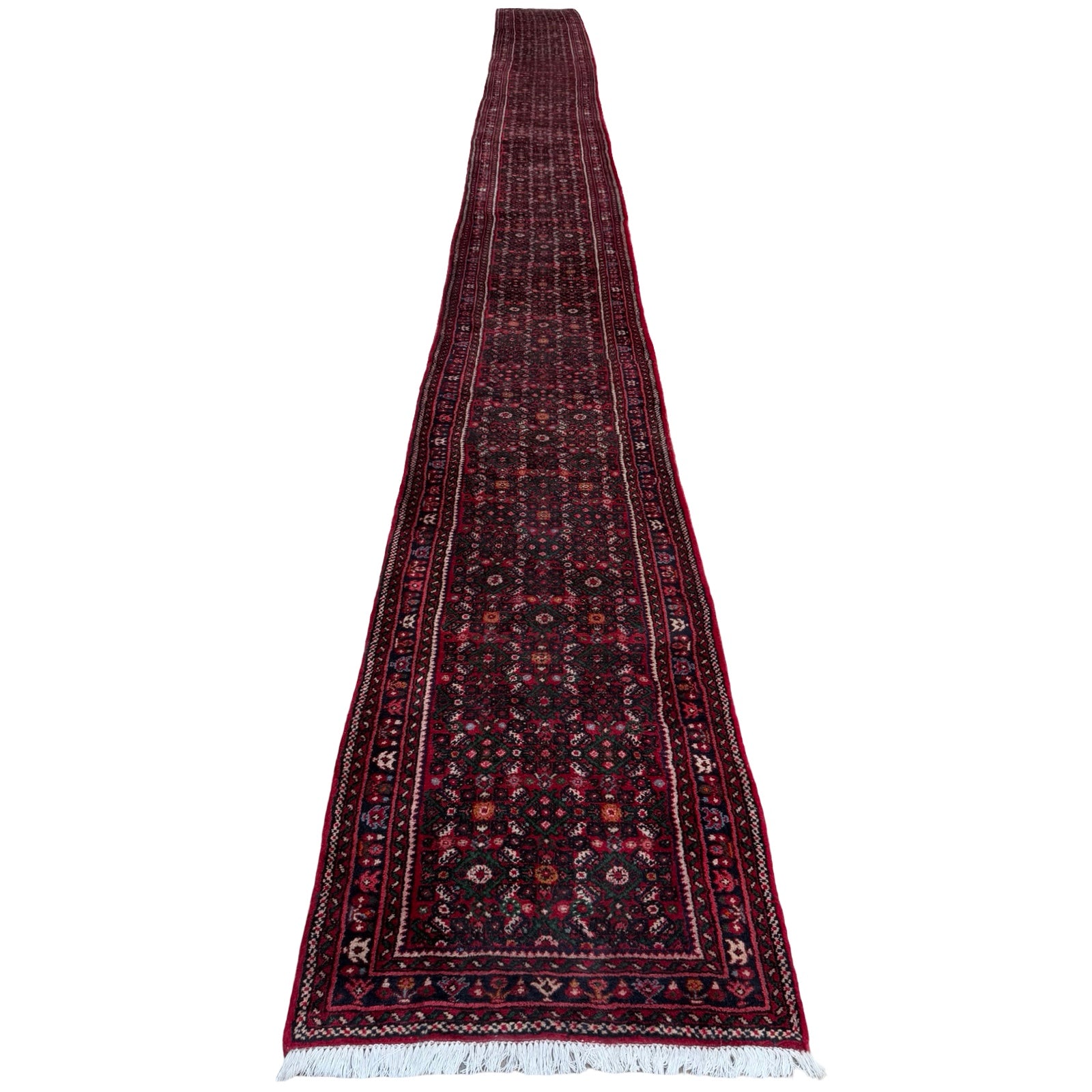 982 x 82 cm Hand-Knotted Persian Bidjar Runner Rug