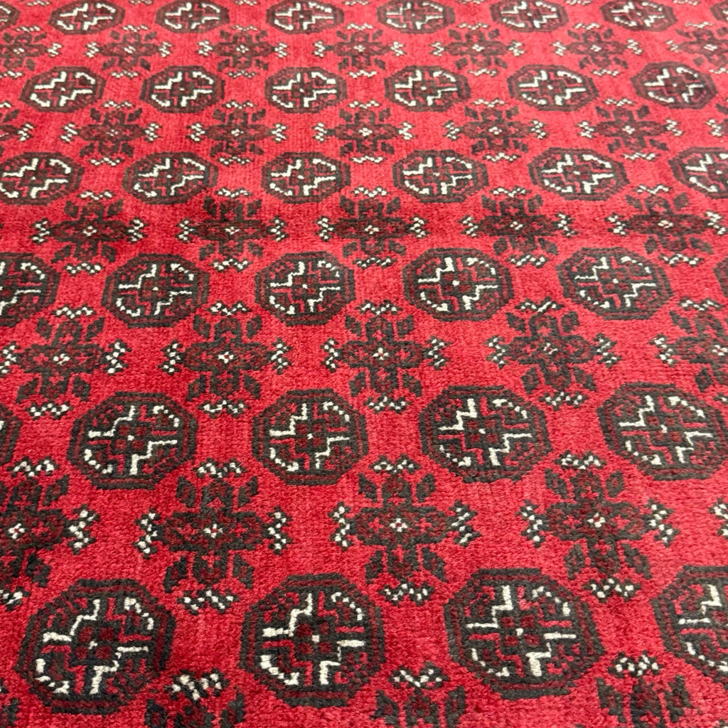 290 x 199 cm Hand-Knotted Afghan Akche Bokhara Rug