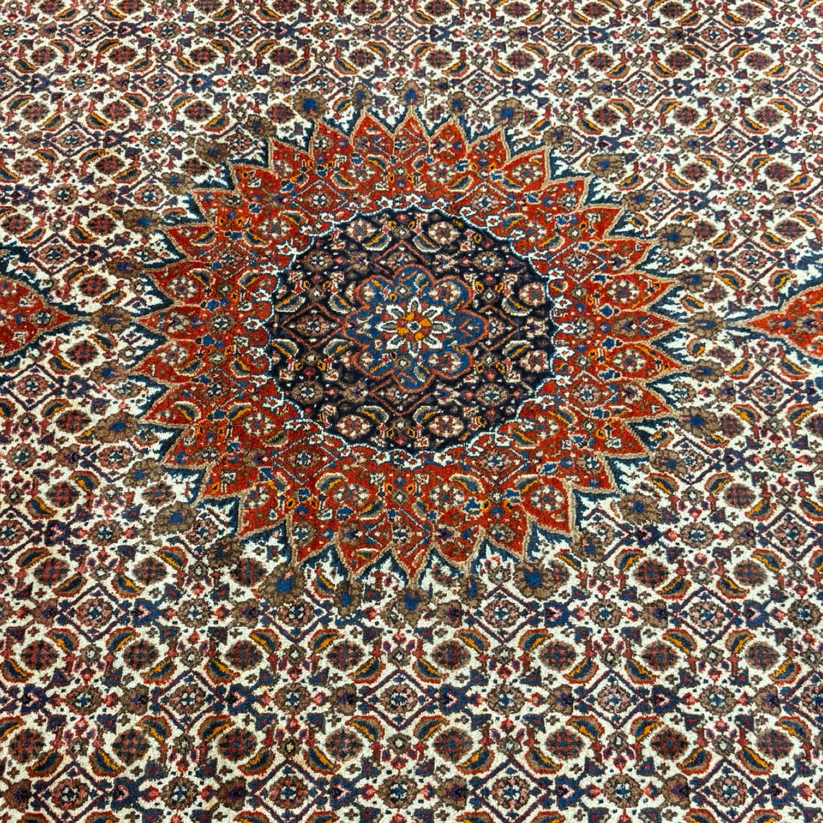 327 x 217 cm Hand Knotted Persian Moud Mahi Rug