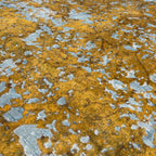 280 x 190 cm Hand-Knotted Ultra Vintage Mustard Wool Rug