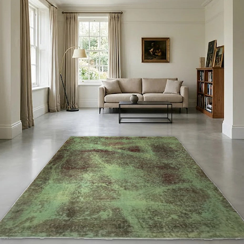 Room view: the rug on the floor of a furnished room