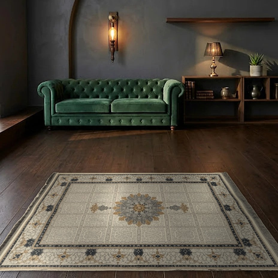 Room view: the rug on the floor of a furnished room
