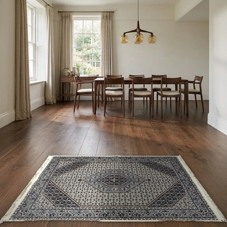 Room view: the rug on the floor of a furnished room