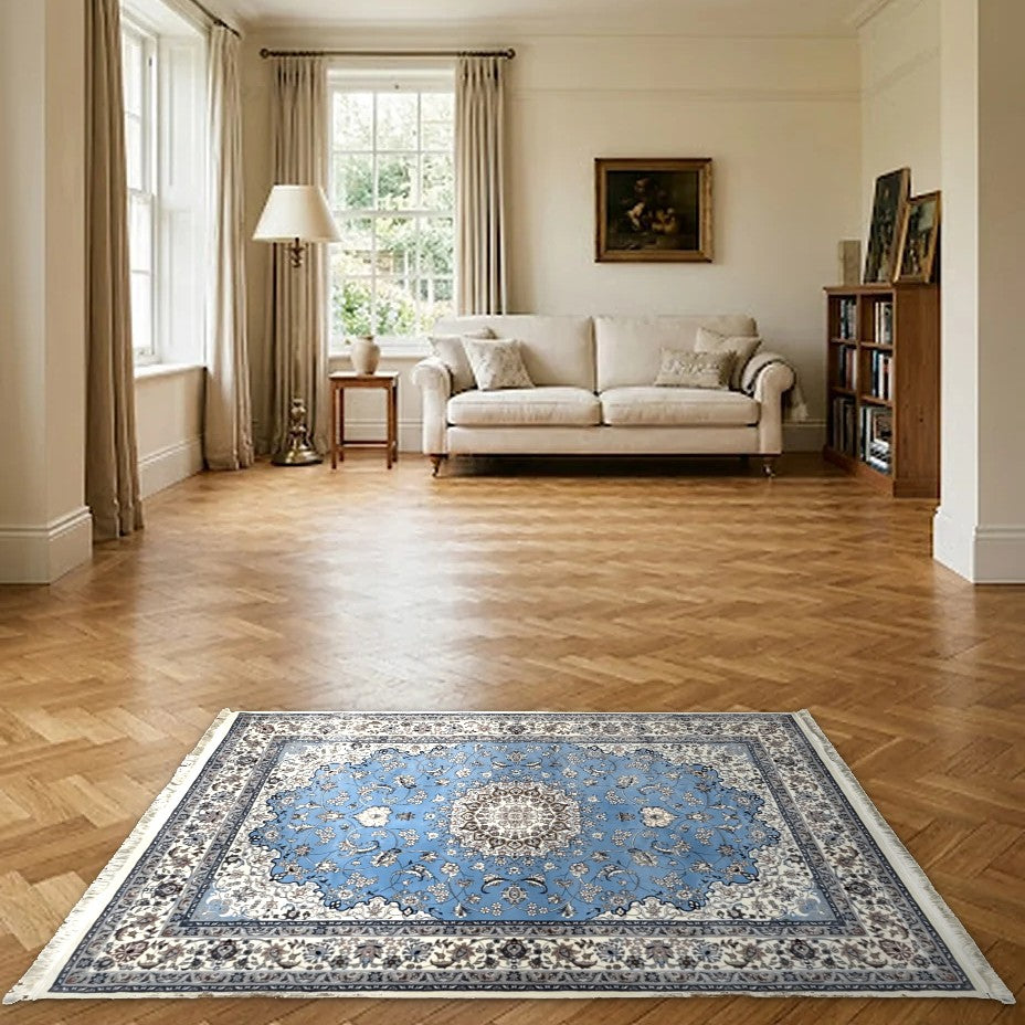Room view: the rug on the floor of a furnished room