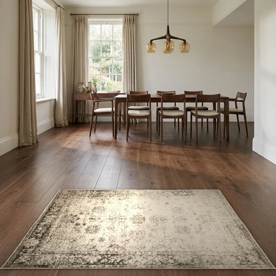 Room view: the rug on the floor of a furnished room