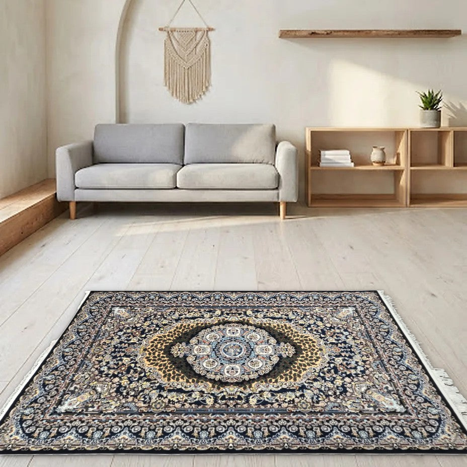 Room view: the rug on the floor of a furnished room