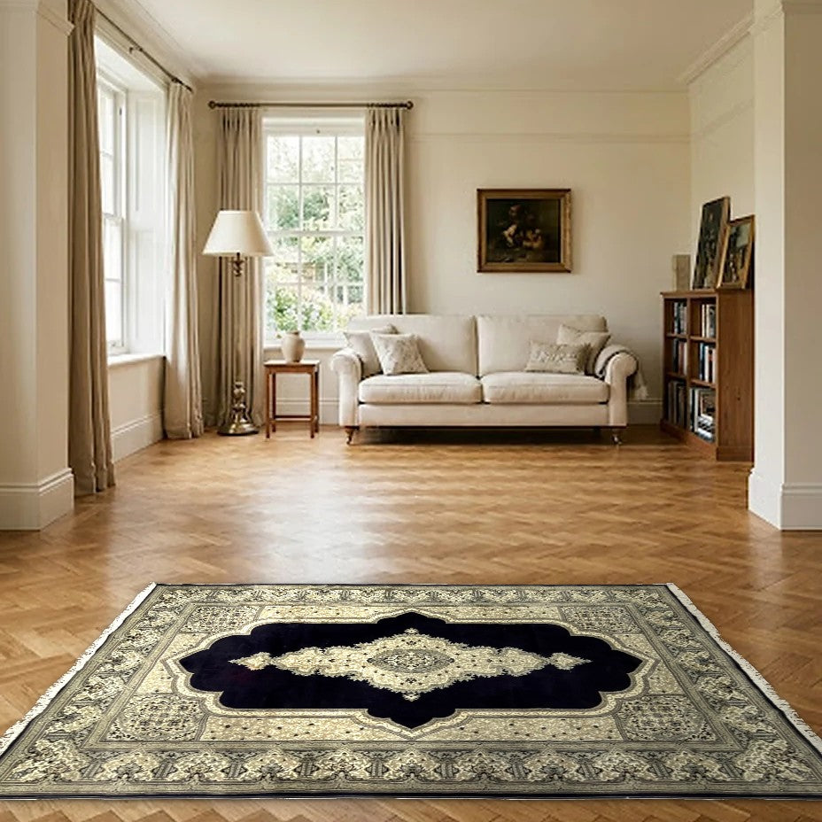 Room view: the rug on the floor of a furnished room