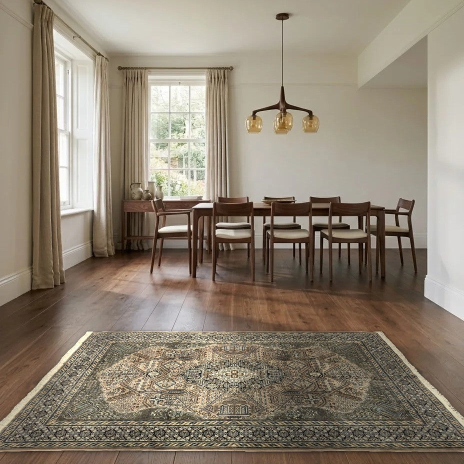 Room view: the rug on the floor of a furnished room