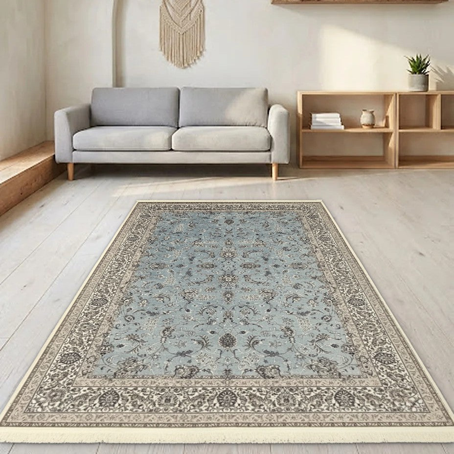 Room view: the rug on the floor of a furnished room