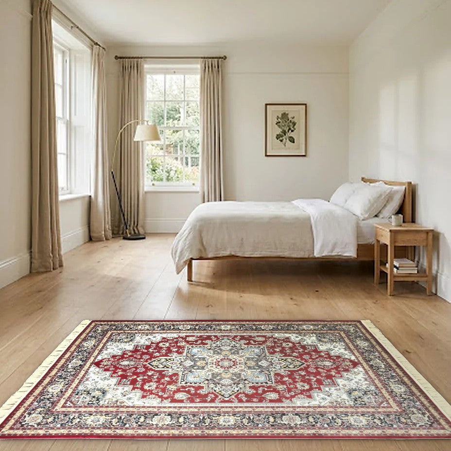 Room view: the rug on the floor of a furnished room