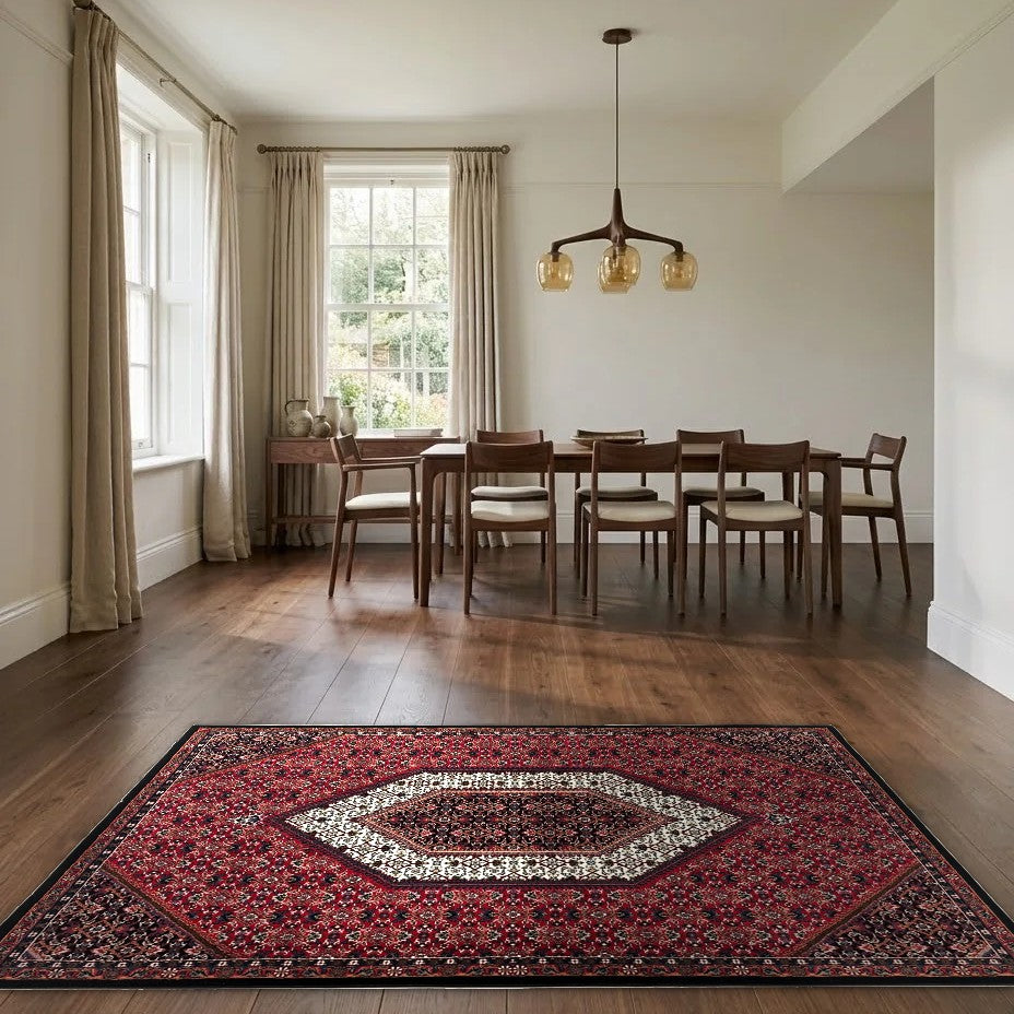 Room view: the rug on the floor of a furnished room