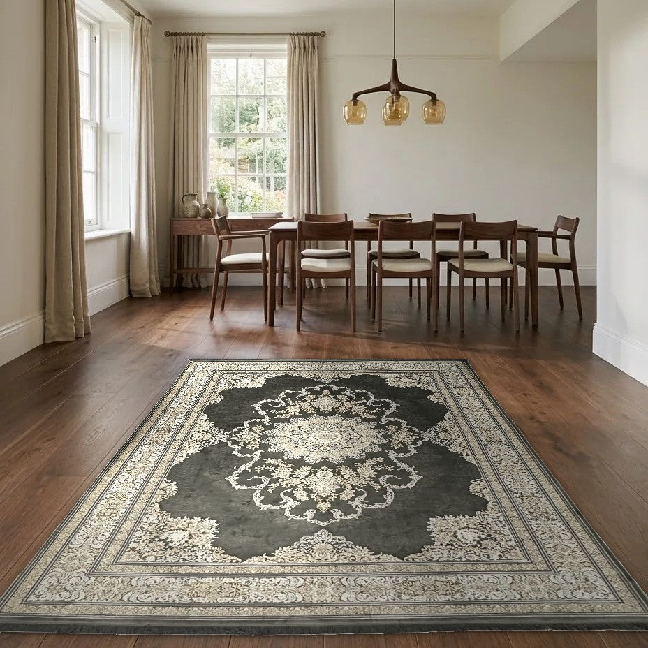 Room view: the rug on the floor of a furnished room