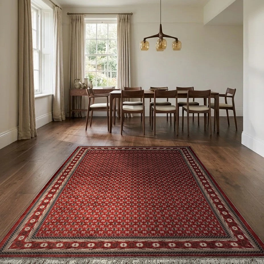 Room view: the rug on the floor of a furnished room