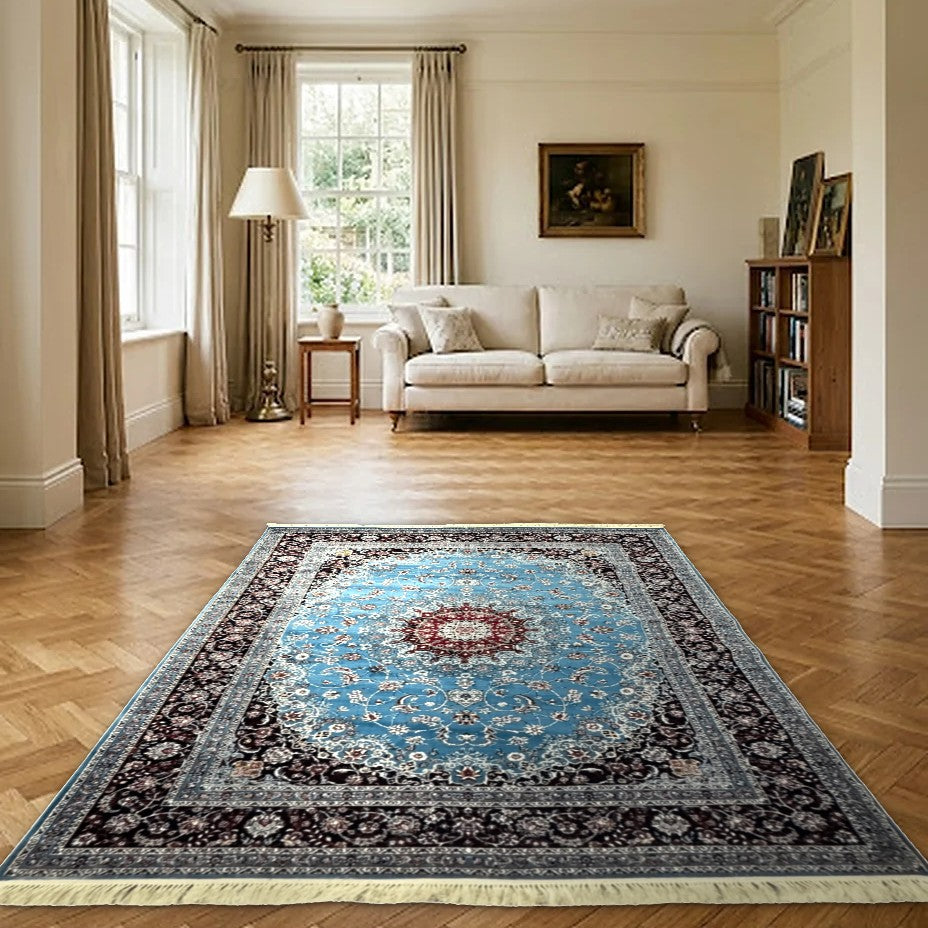 Room view: the rug on the floor of a furnished room