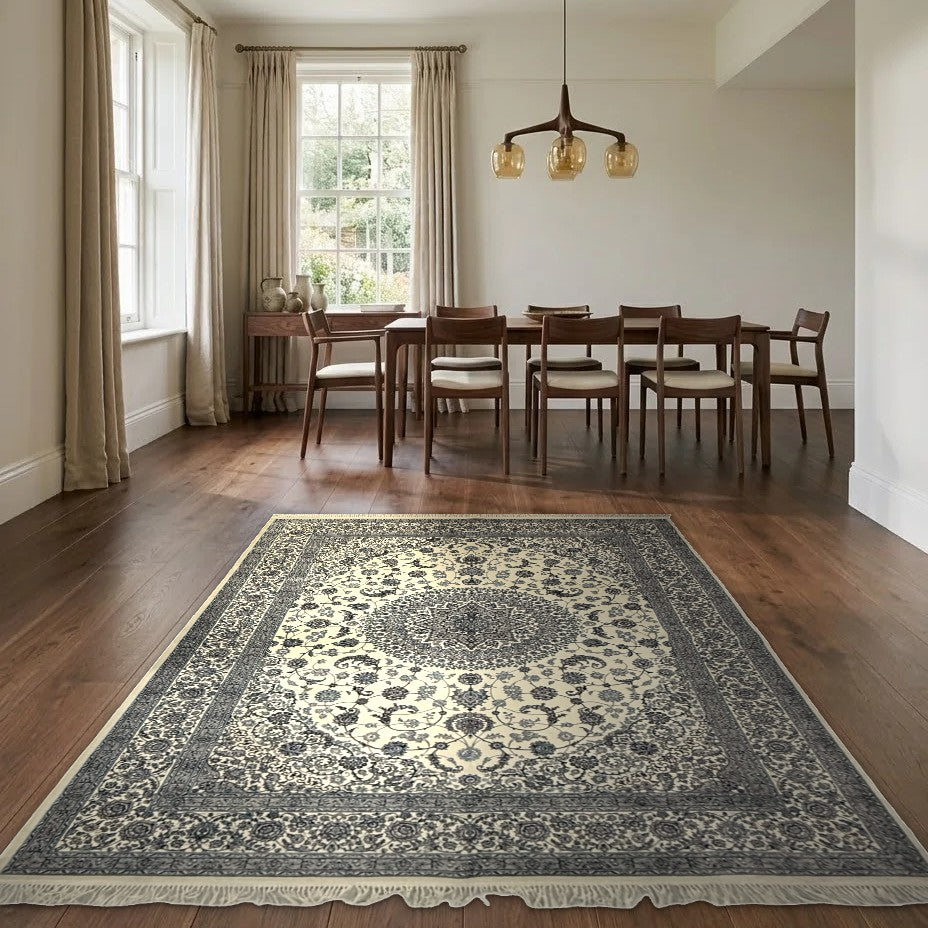 Room view: the rug on the floor of a furnished room