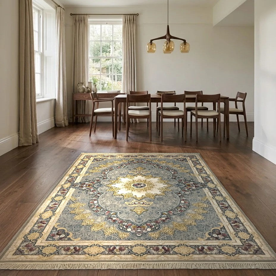 Room view: the rug on the floor of a furnished room