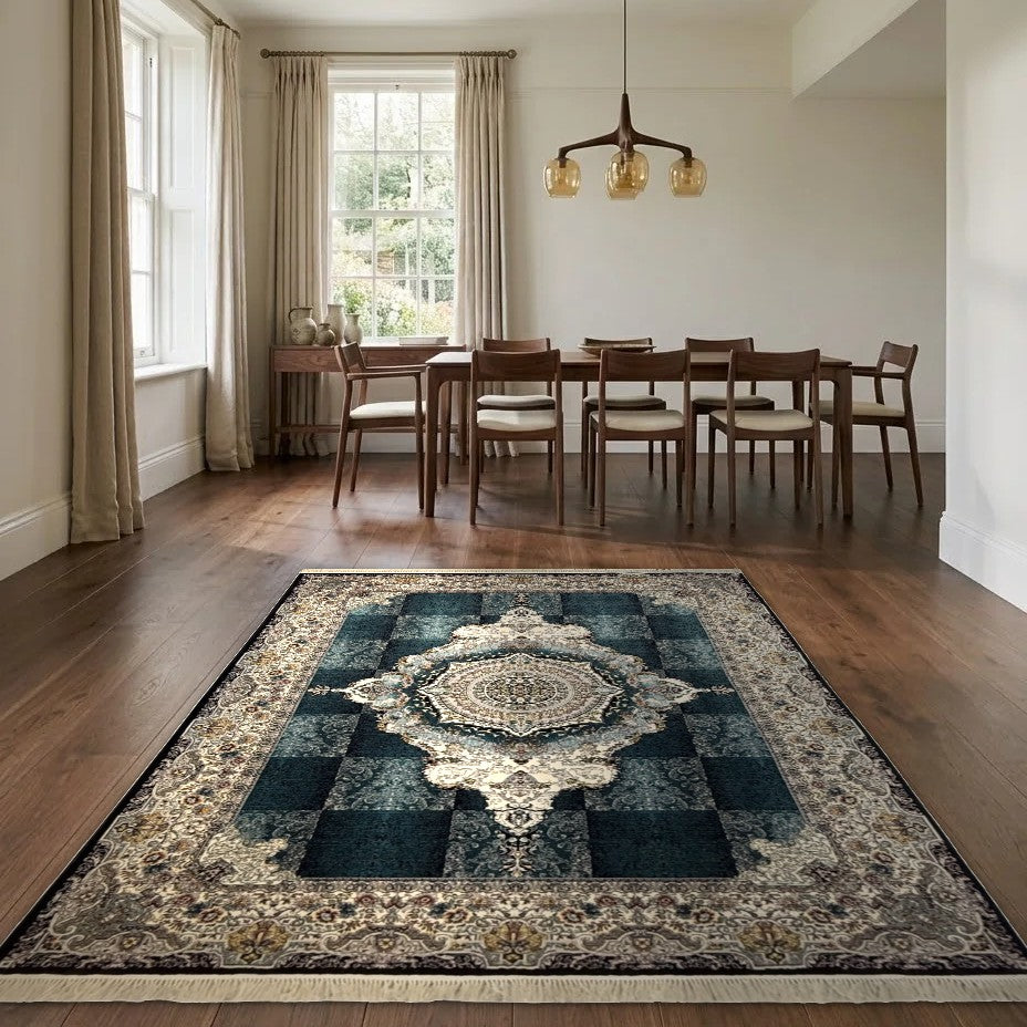 Room view: the rug on the floor of a furnished room