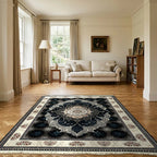 Room view: the rug on the floor of a furnished room