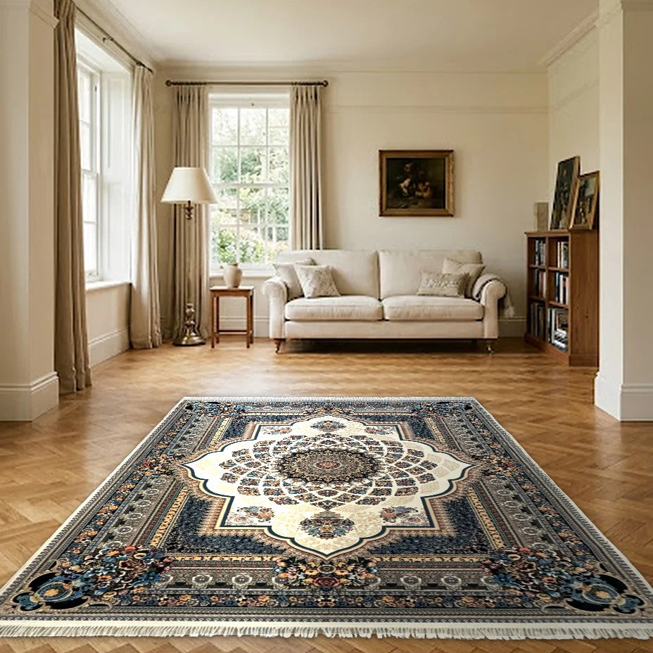 Room view: the rug on the floor of a furnished room