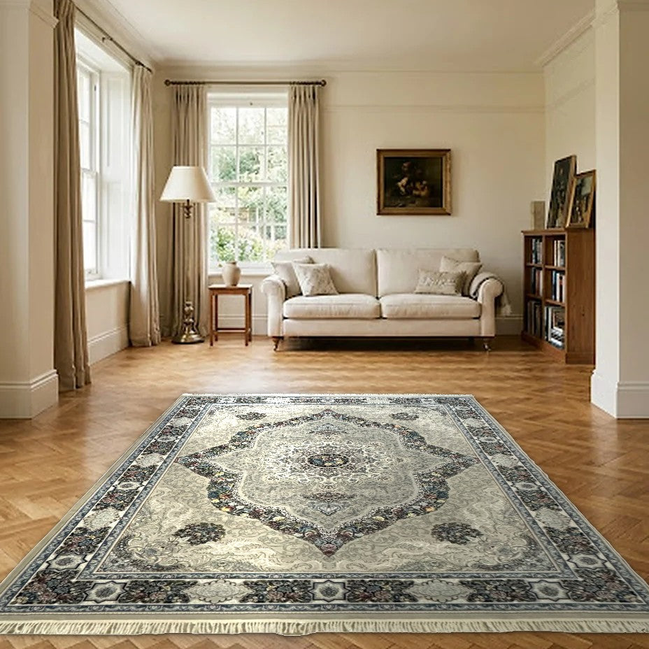 Room view: the rug on the floor of a furnished room