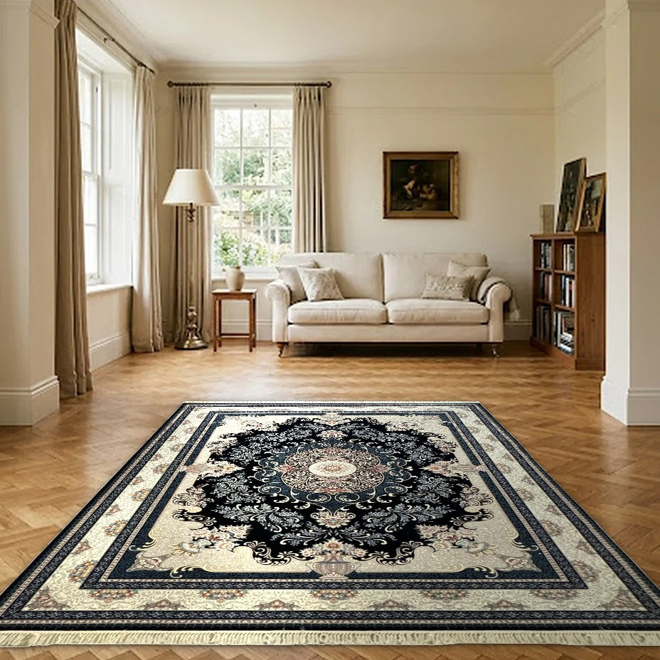 Room view: the rug on the floor of a furnished room