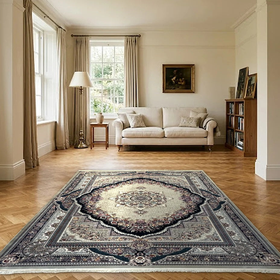 Room view: the rug on the floor of a furnished room