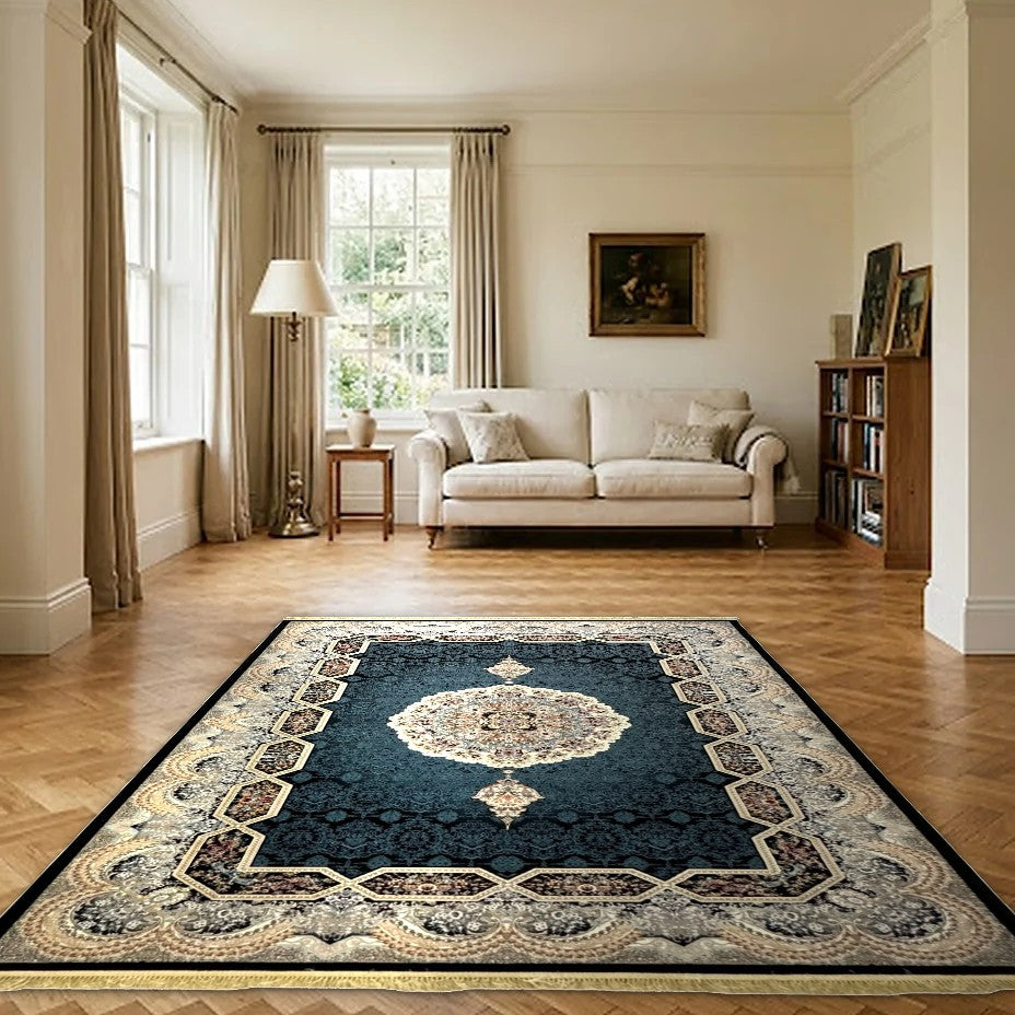 Room view: the rug on the floor of a furnished room