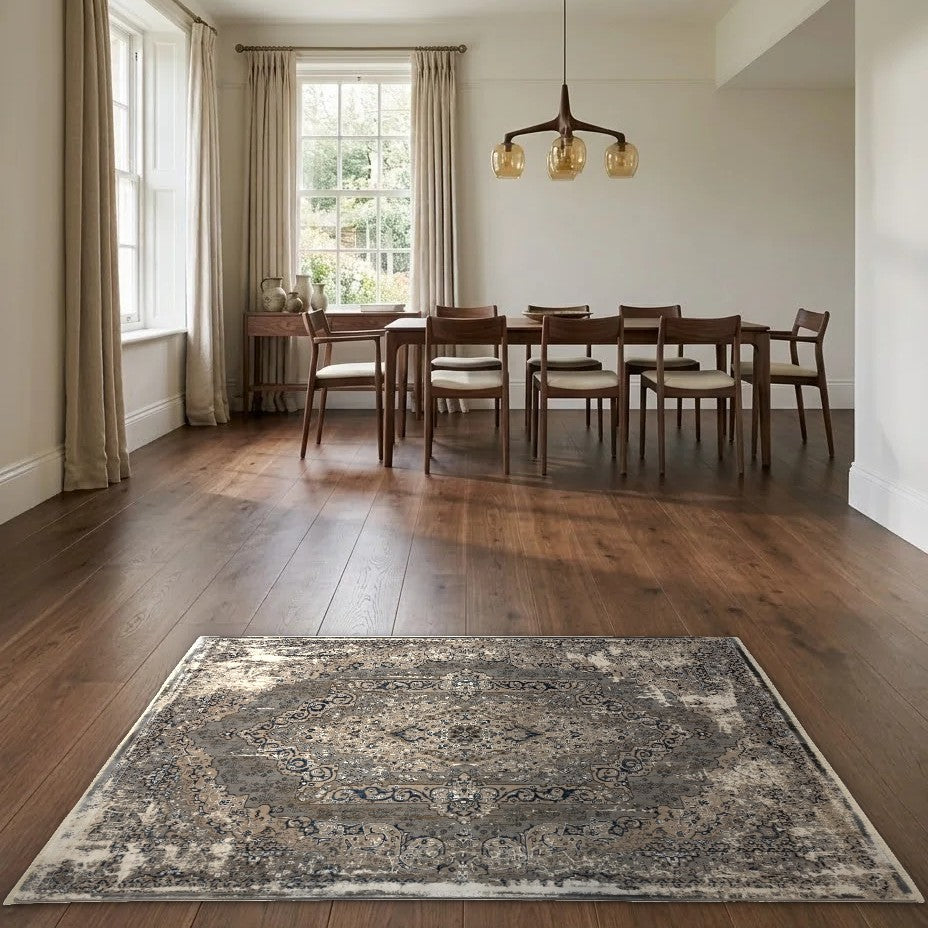 Room view: the rug on the floor of a furnished room
