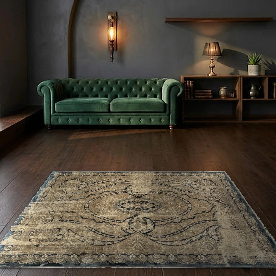 Room view: the rug on the floor of a furnished room