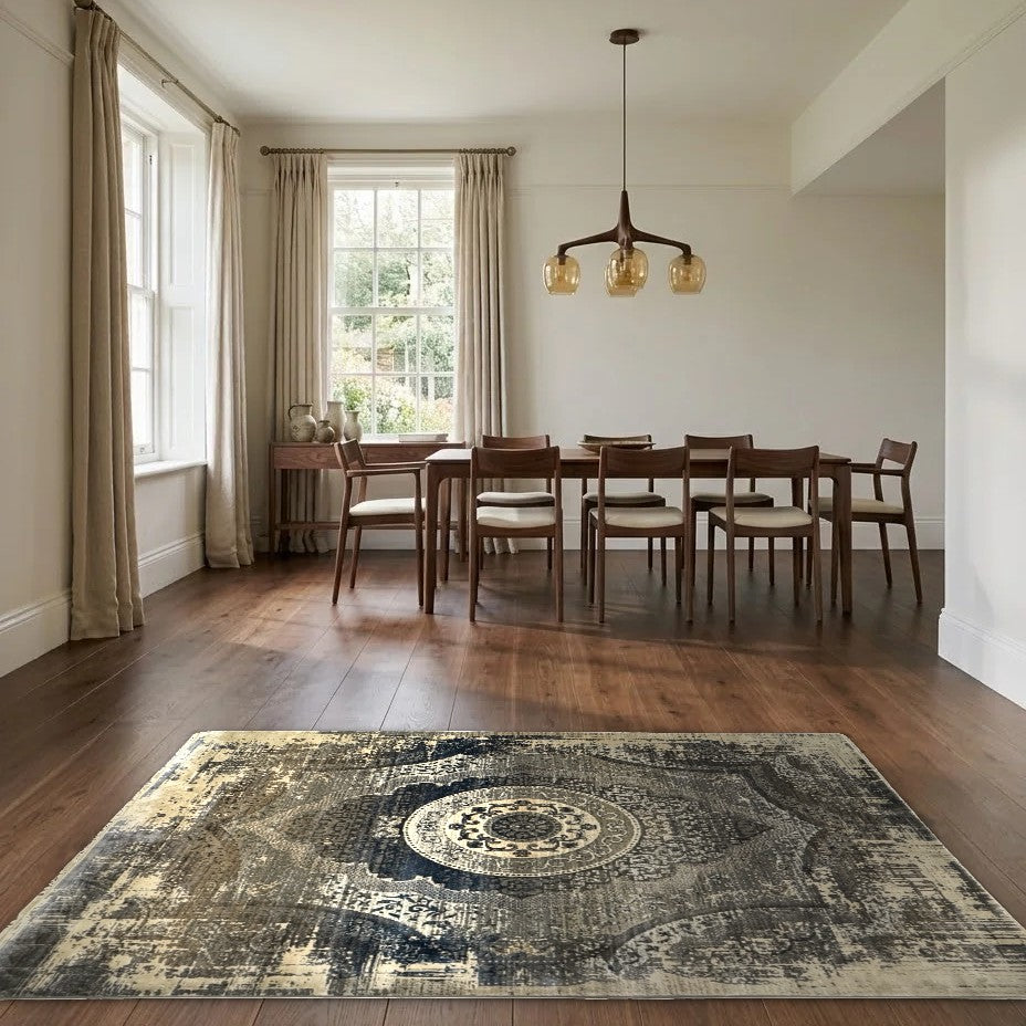 Room view: the rug on the floor of a furnished room