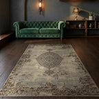 Room view: the rug on the floor of a furnished room