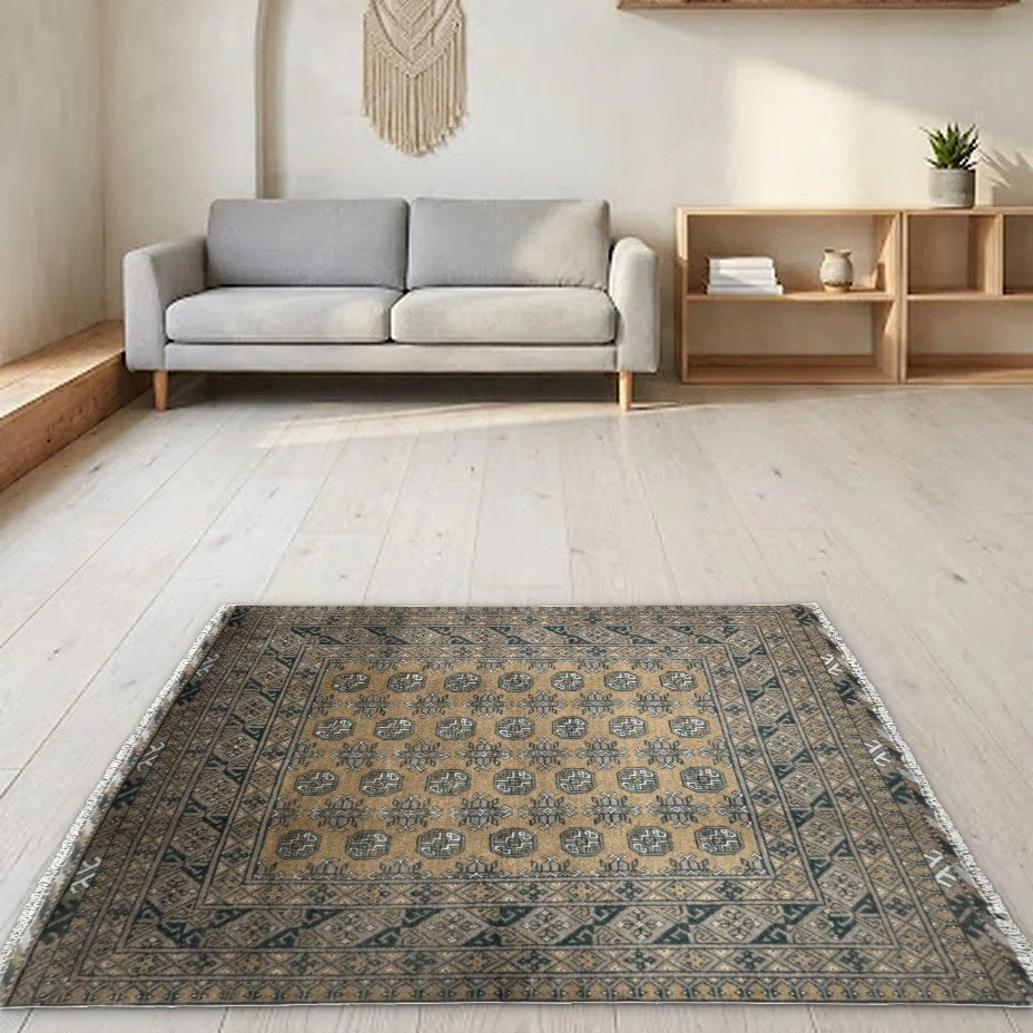 Room view: the rug on the floor of a furnished room
