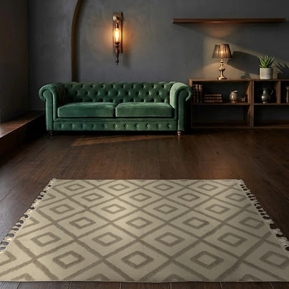 Room view: the rug on the floor of a furnished room