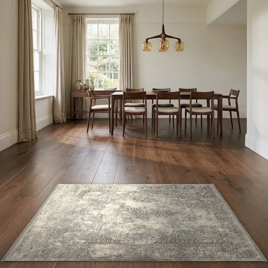 Room view: the rug on the floor of a furnished room
