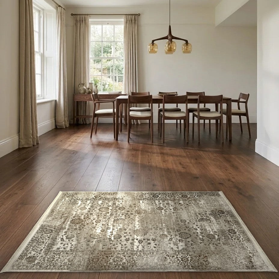 Room view: the rug on the floor of a furnished room