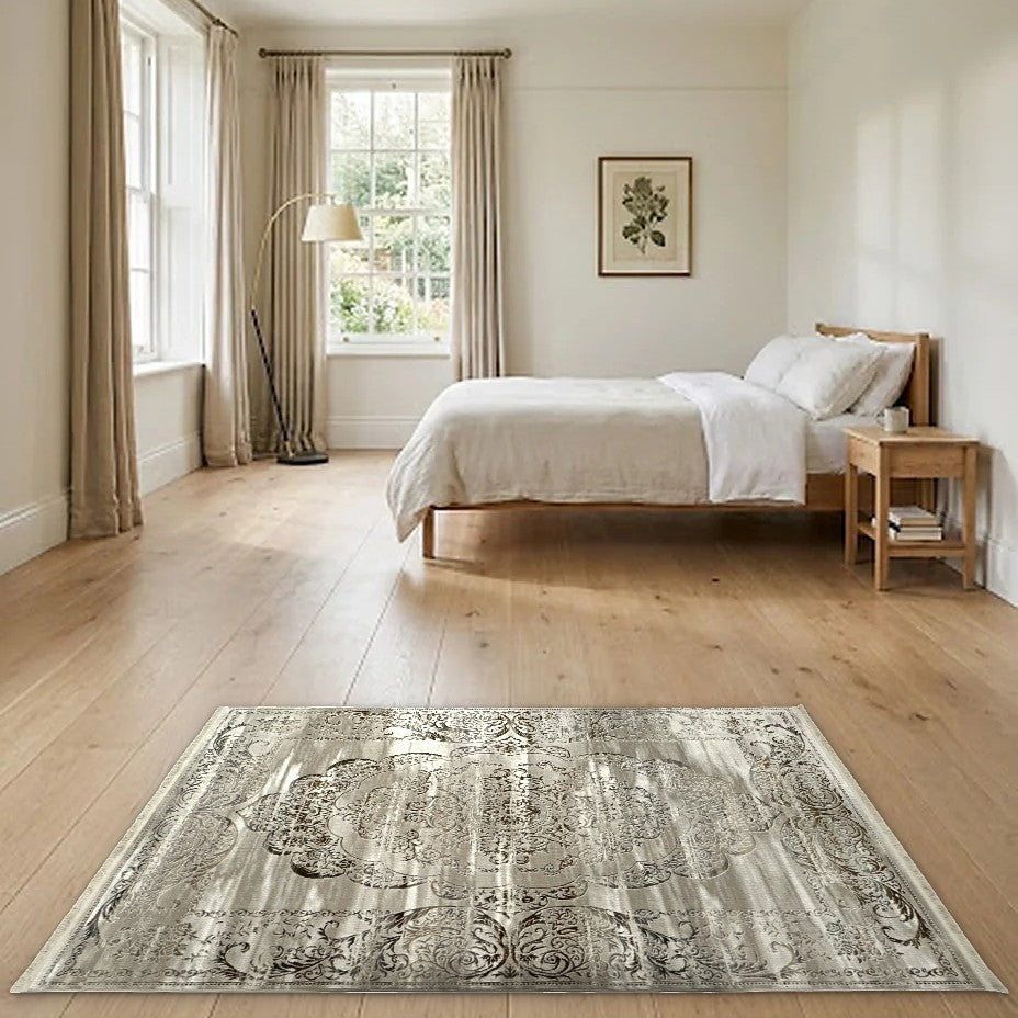 Room view: the rug on the floor of a furnished room