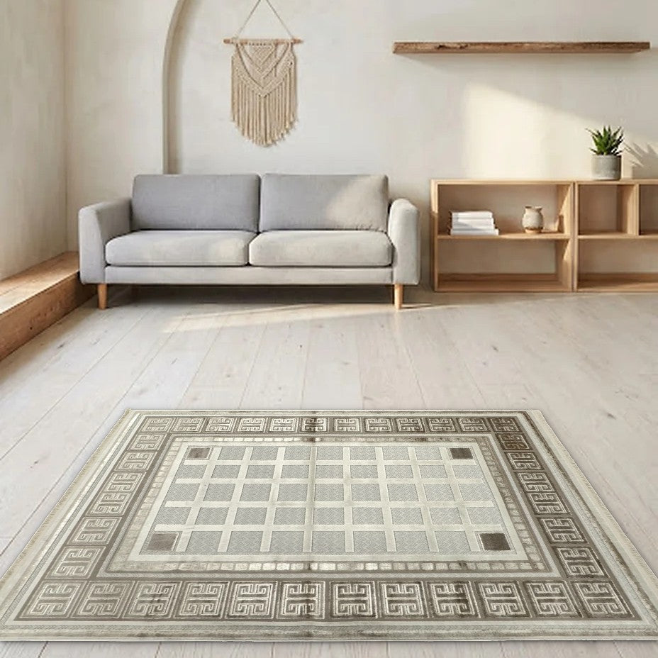 Room view: the rug on the floor of a furnished room