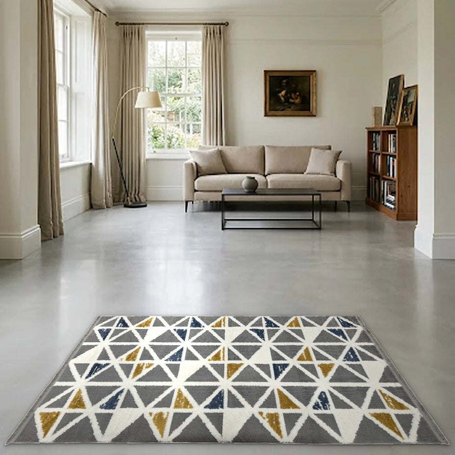 Room view: the rug on the floor of a furnished room