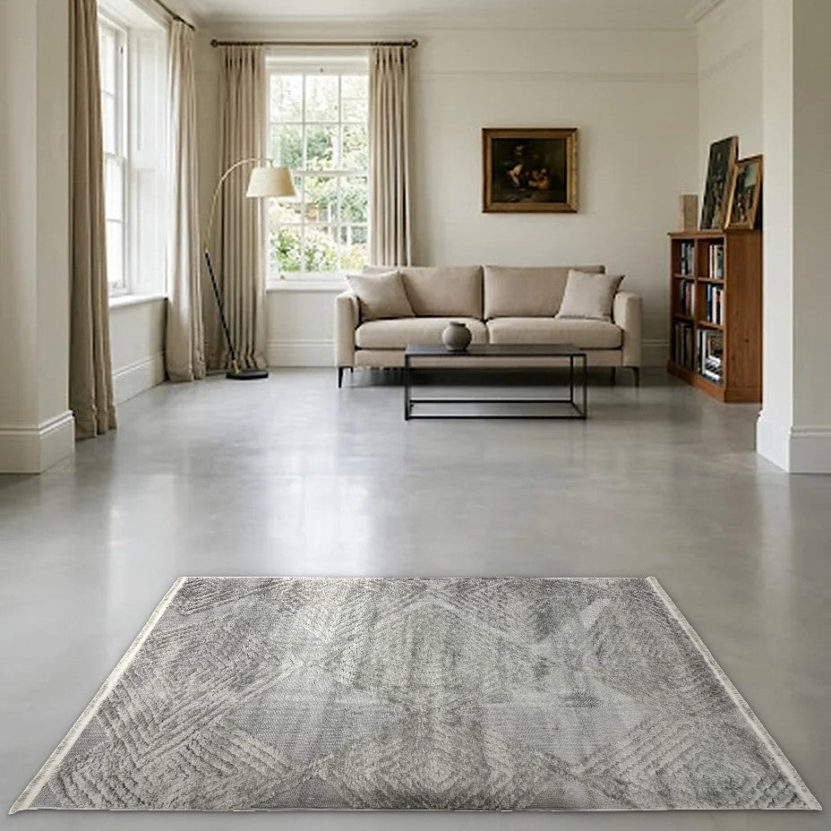 Room view: the rug on the floor of a furnished room