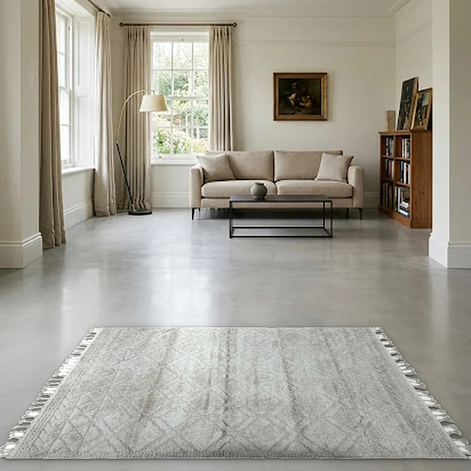 Room view: the rug on the floor of a furnished room