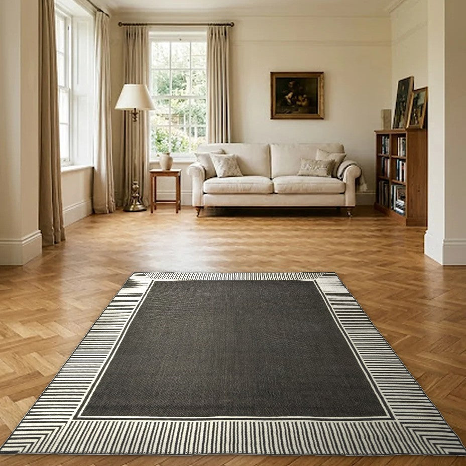 Room view: the rug on the floor of a furnished room