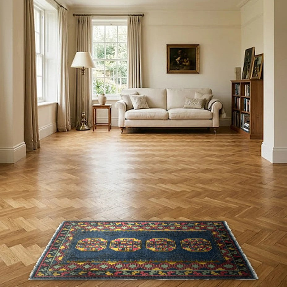 Room view: the rug on the floor of a furnished room