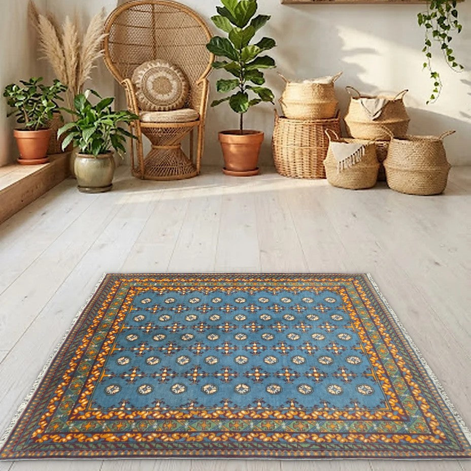 Room view: the rug on the floor of a furnished room